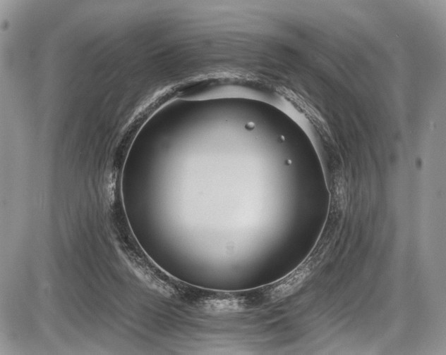 X0000085810160200703231345