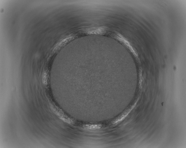 X0000085810161200703231345