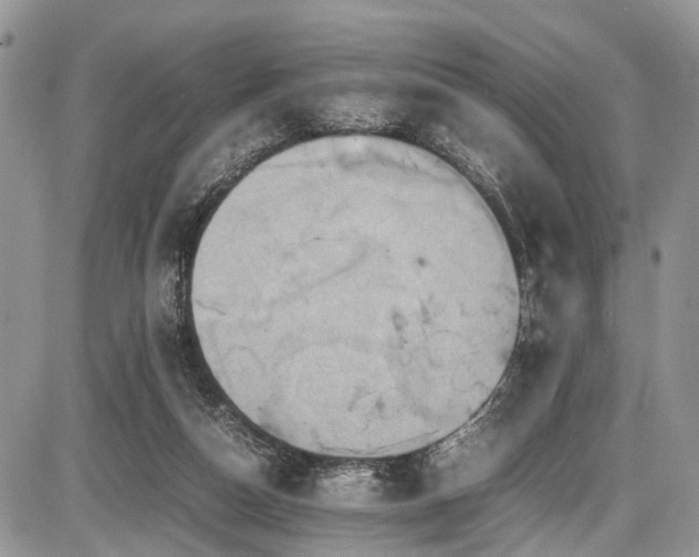 X0000085810162200703231345