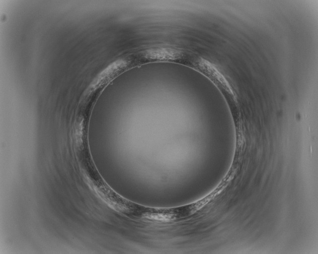 X0000085810163200703231345