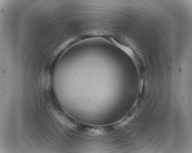 X0000085810164200703231345