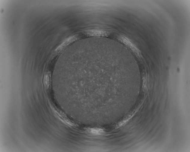 X0000085810165200703231345