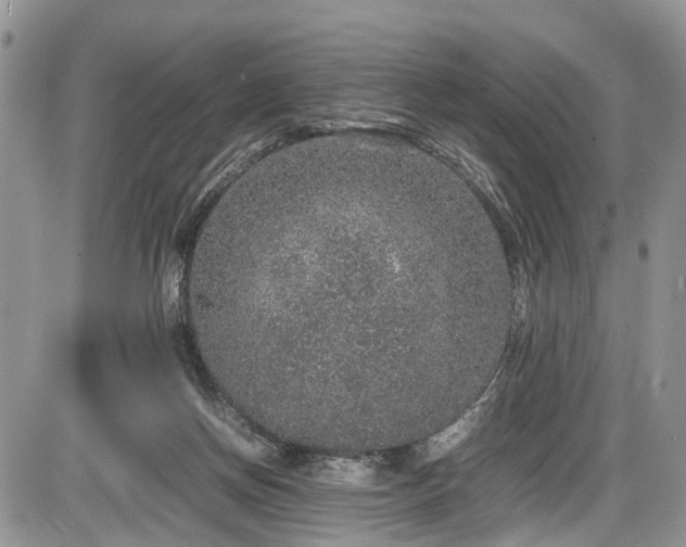 X0000085810166200703231345