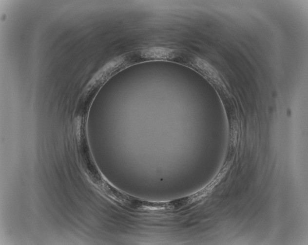 X0000085810167200703231345