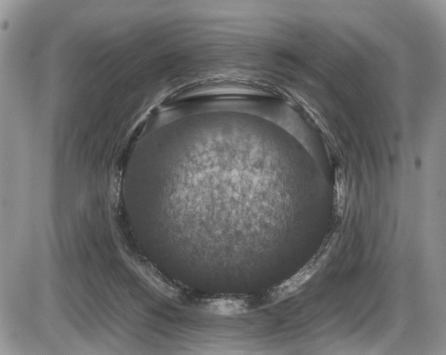 X0000085810168200703231345