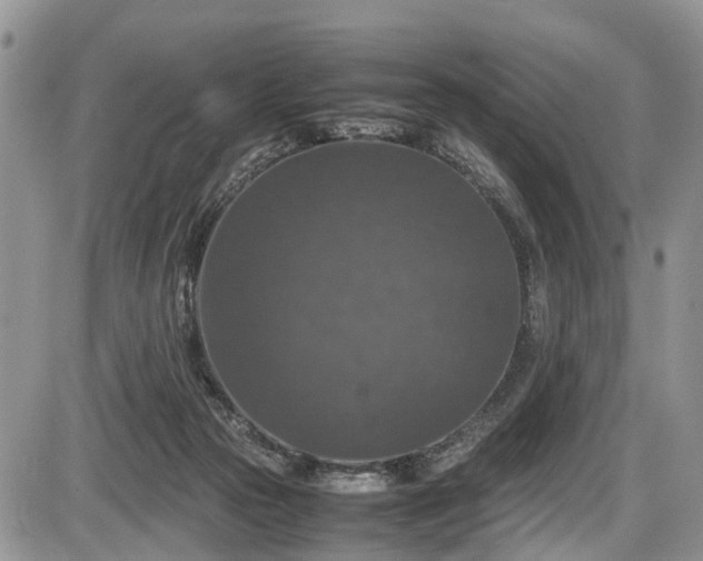 X0000085810169200703231345