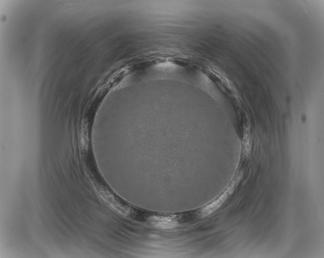 X0000085810170200703231345