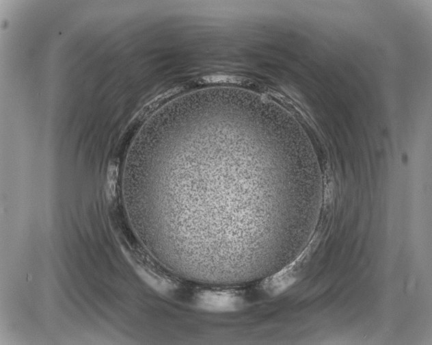 X0000085810171200703231345