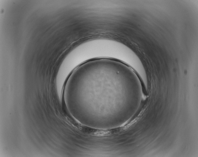 X0000085810172200703231345