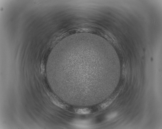 X0000085810173200703231345