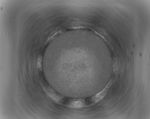 X0000085810175200703231345