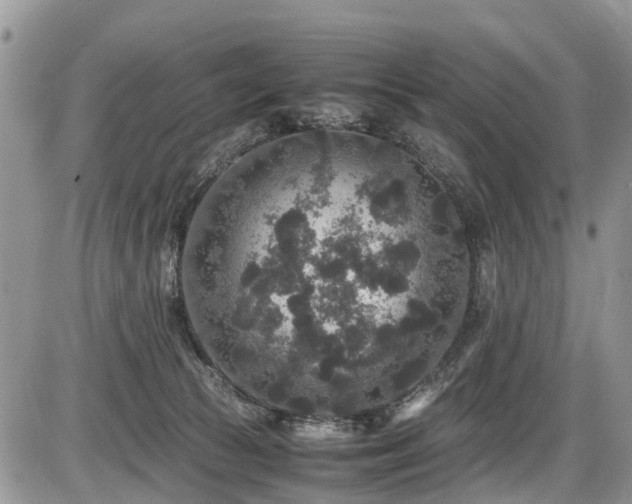 X0000085810177200703231345