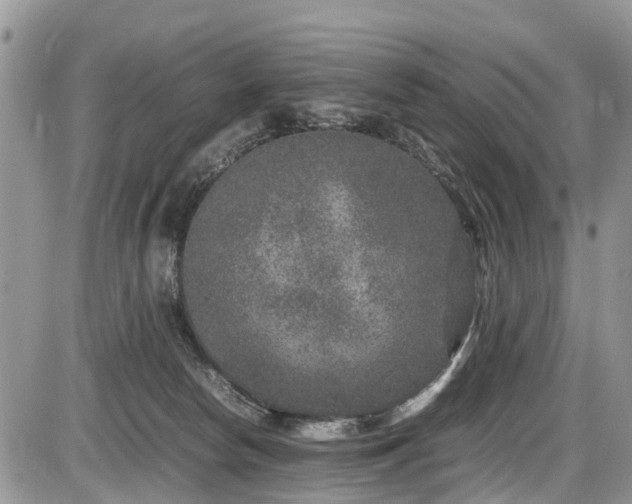 X0000085810178200703231345