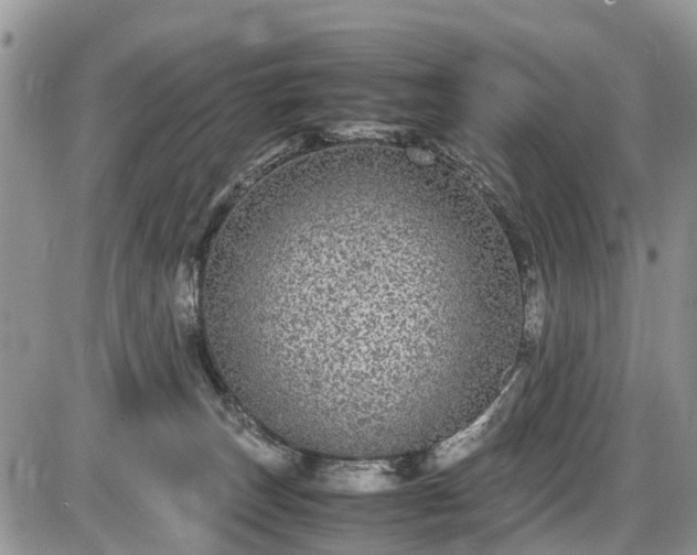 X0000085810179200703231345