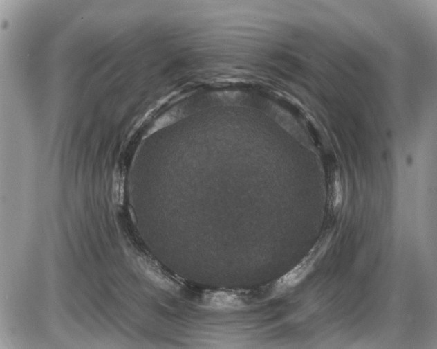 X0000085810180200703231345