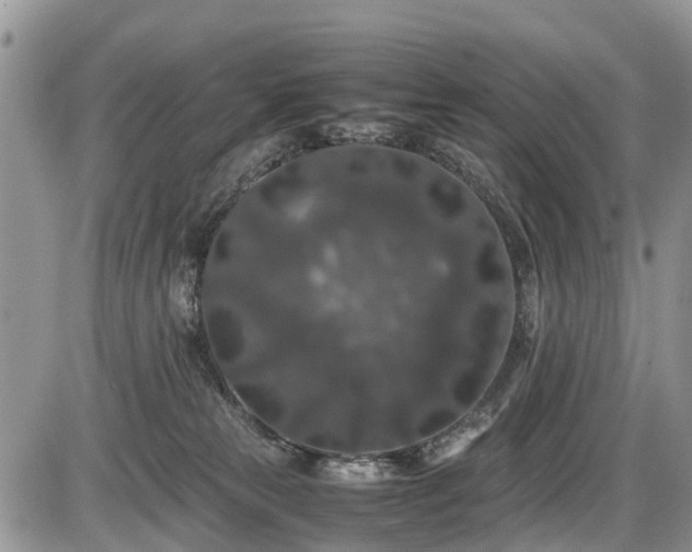 X0000085810181200703231345