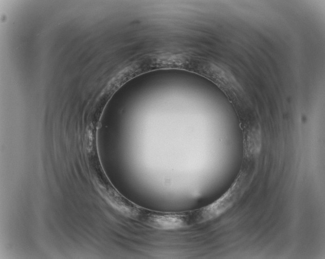 X0000085810183200703231345