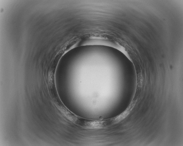 X0000085810184200703231345