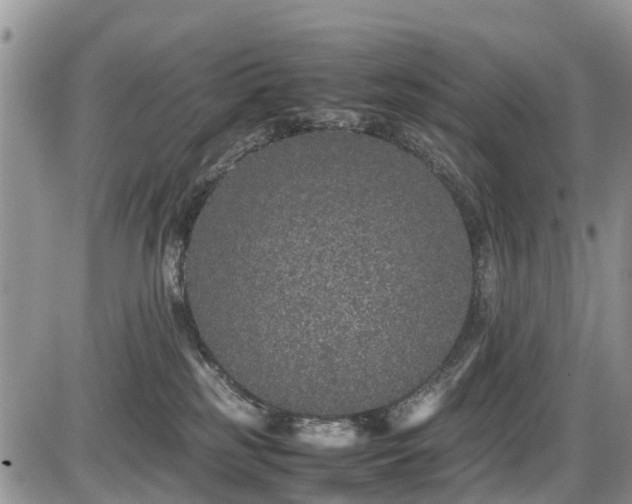 X0000085810185200703231345