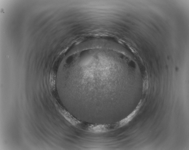 X0000085810186200703231345