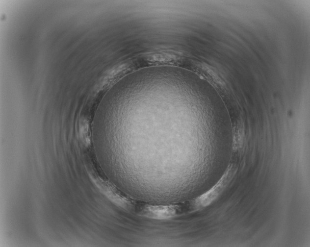 X0000085810187200703231345