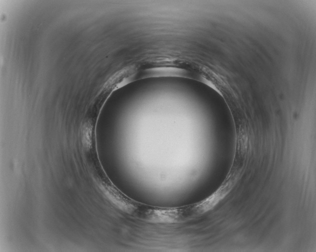 X0000085810188200703231345