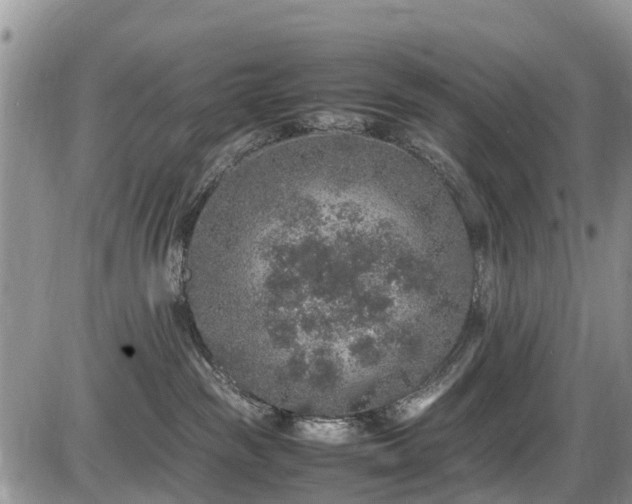 X0000085810189200703231345