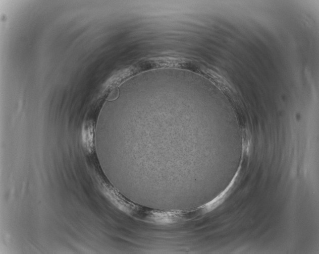 X0000085810190200703231345