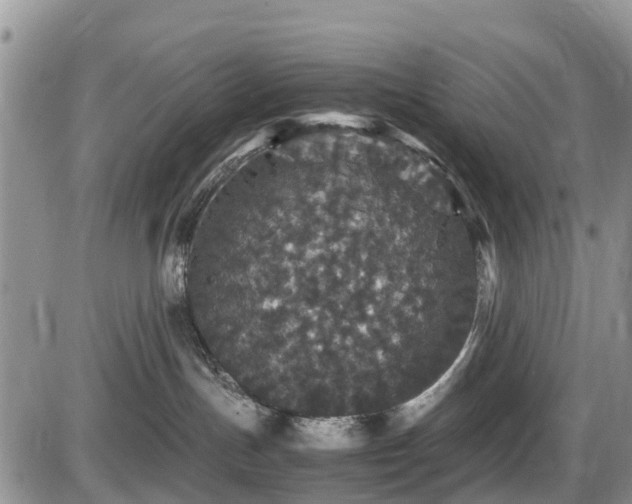 X0000085810191200703231345