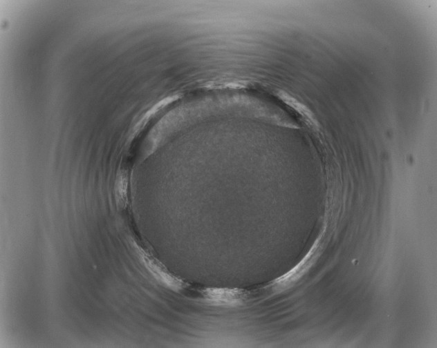 X0000085810192200703231345