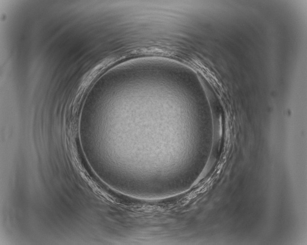 X0000085810193200703231345