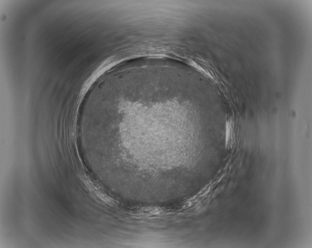 X0000085810195200703231345