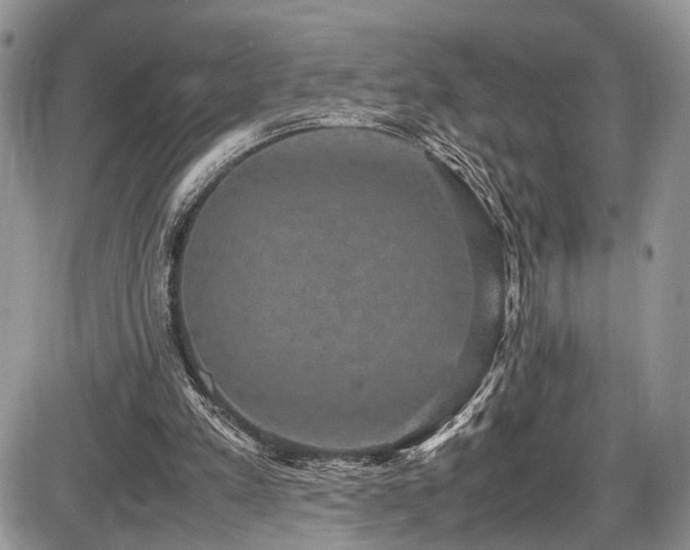 X0000085810197200703231345