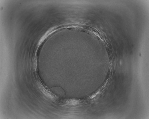 X0000085810198200703231345