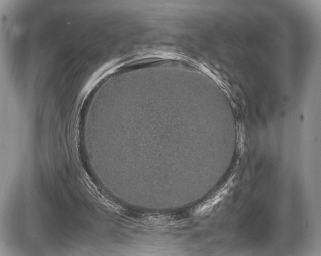 X0000085810199200703231345