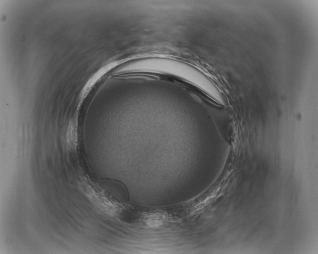 X0000085810200200703231344