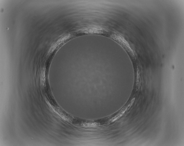 X0000085810202200703231344