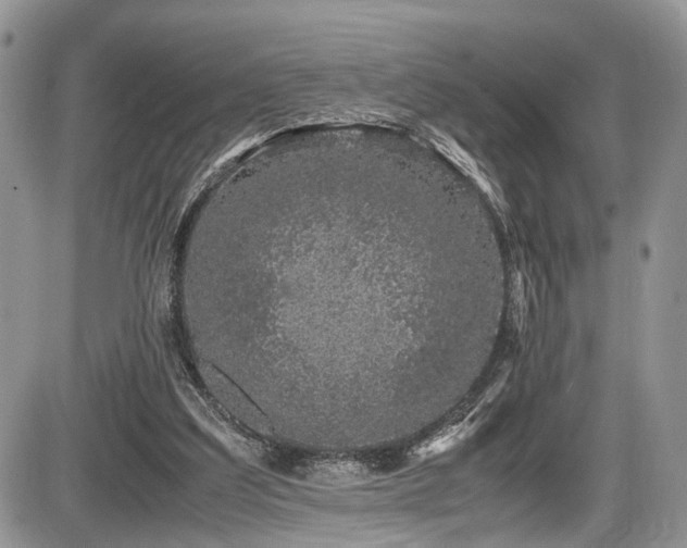 X0000085810203200703231344