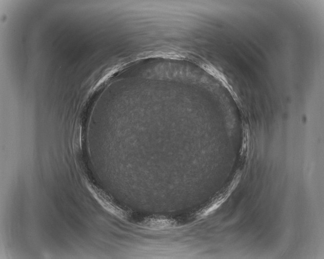 X0000085810205200703231344