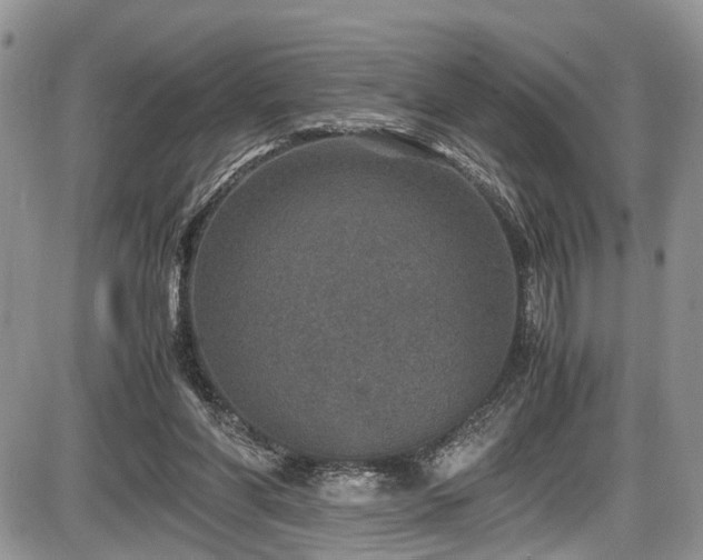 X0000085810206200703231344