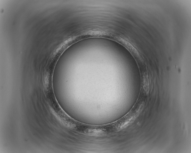 X0000085810208200703231344