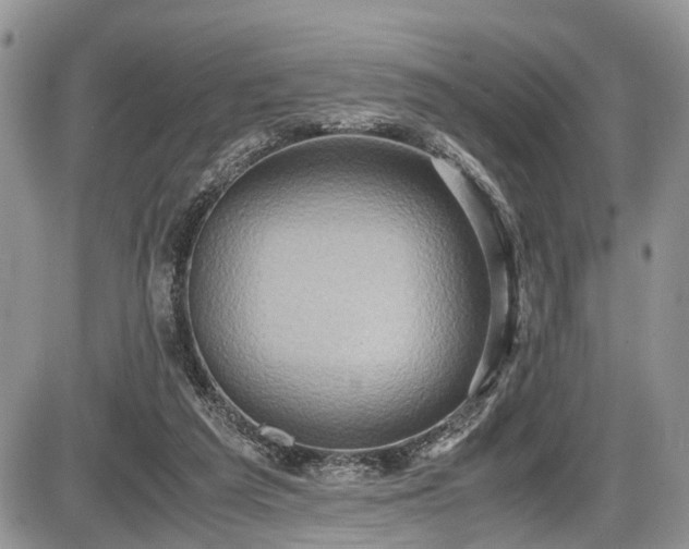 X0000085810209200703231344