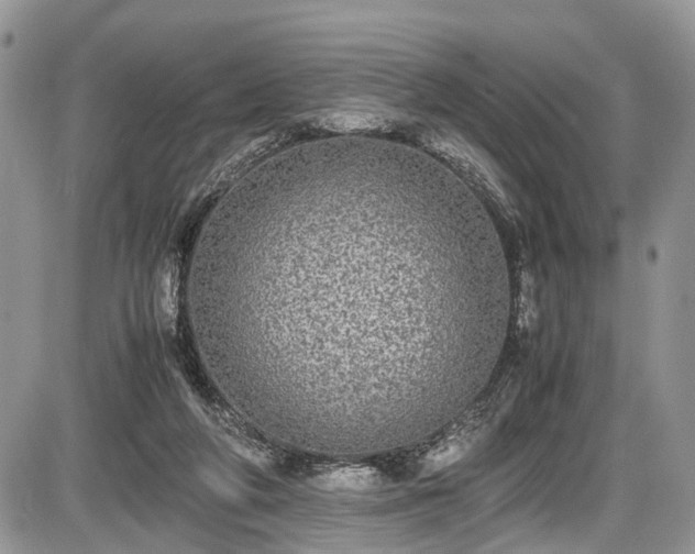 X0000085810210200703231344