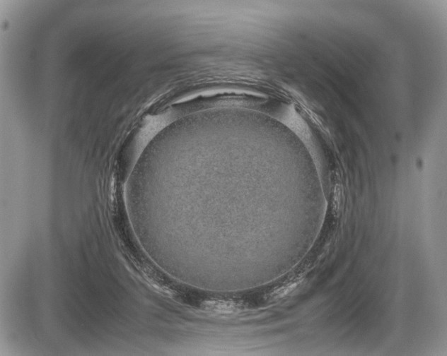 X0000085810211200703231344