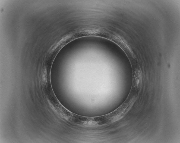 X0000085810212200703231344