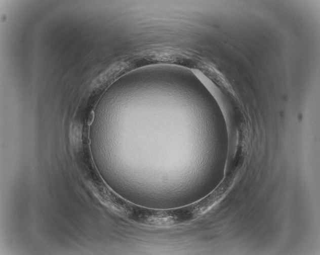 X0000085810213200703231344