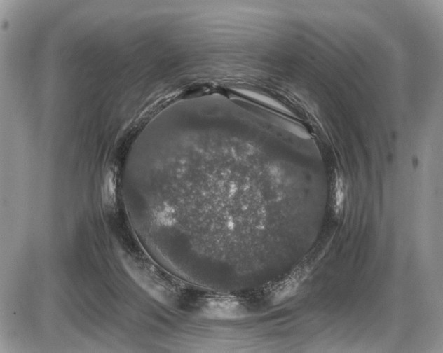 X0000085810214200703231344