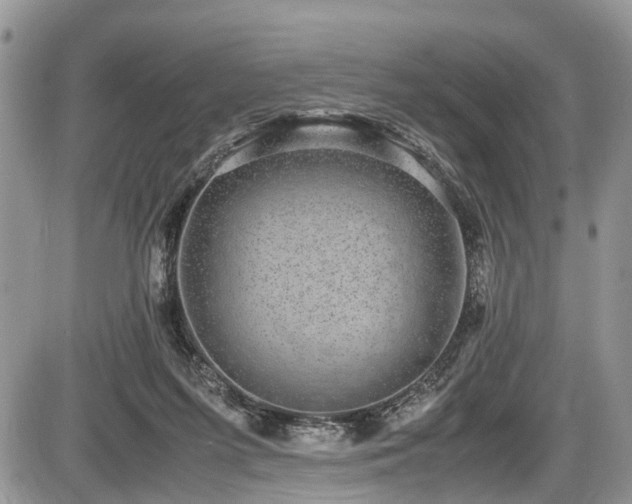 X0000085810215200703231344