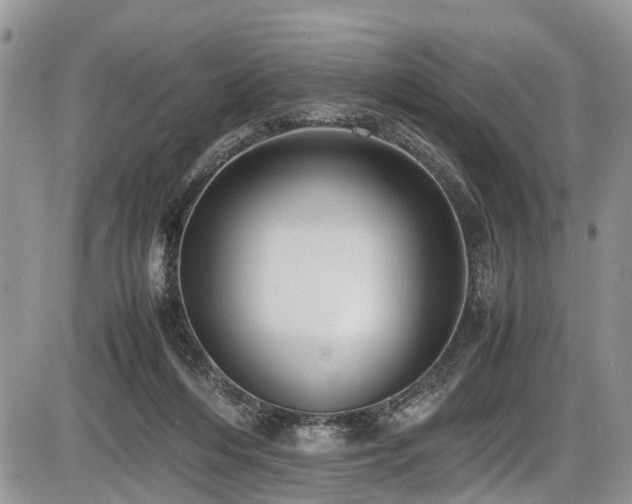 X0000085810216200703231344