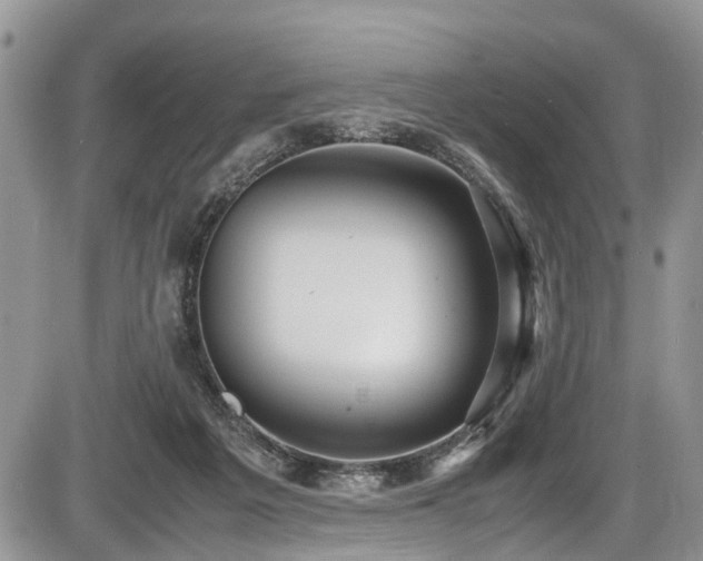 X0000085810217200703231344